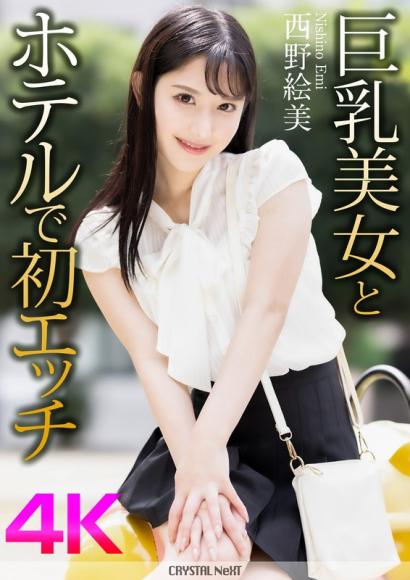 酒店初体验:巨乳美女的火辣约会。- 西野绘美