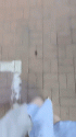 极品女神！【两条鱼儿】户外美腿丝足~冰棍猛插~超级过瘾