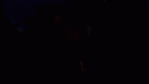fearess stelle harem 3