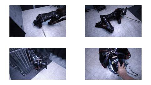 Lemon  窒息  胶衣 揉胸  捆绑  调教  束缚  绳艺  SM27