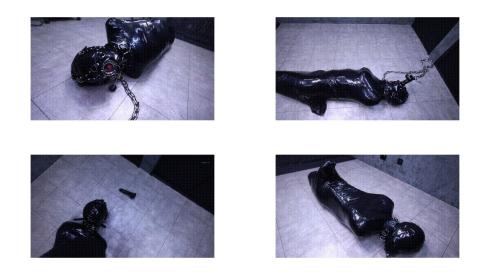 Lemon  窒息  胶衣 揉胸  捆绑  调教  束缚  绳艺  SM26