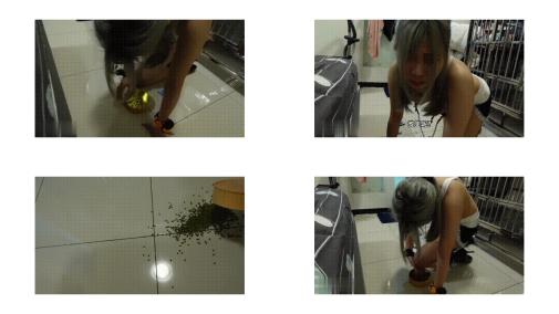 奴隶物语  小小Q 绿豆夹子篇 4-膝蓋撿綠豆