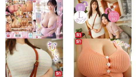 sone-975 女友的姊姊沒穿胸罩還是l罩杯看得我忍不住勃起，沒想到她還偷偷地溫柔地幫我打出來，如同女神般體貼 木村愛心