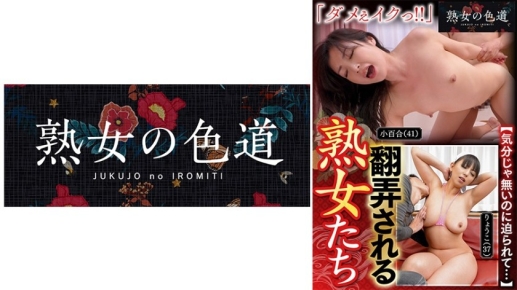 被玩弄的熟女们