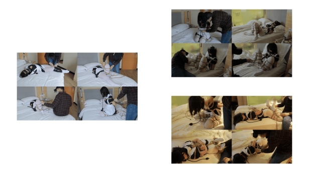 绳艺_ 窒息_ HUI_HUI_202_白丝小萝莉强制GC，M字开腿，小姐姐被玩到不行了