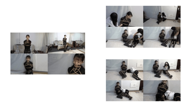 美束映画 菜鸟刑讯师与美女怪盗