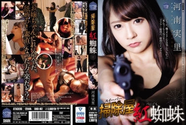 清道夫 红蜘蛛 河南实里