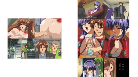 (18禁アニメ) (無修正) [バニラ] 凌辱の連鎖 前編